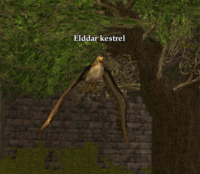 Elddar Kestral