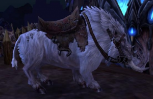 White Ridin' Boar